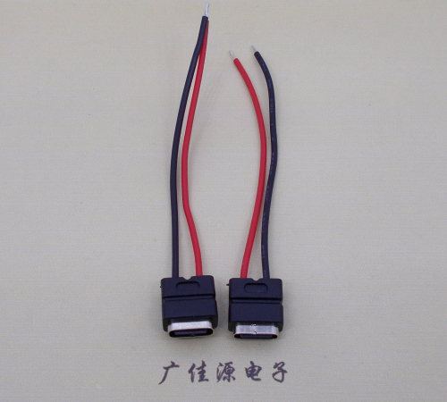 东升镇type c2p防水母座焊线式带线注塑成型带接线端子/不带接线端子充电连接器