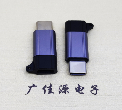 东升镇Type-C母转Type-C公 USB3.1 PD100W快冲接口